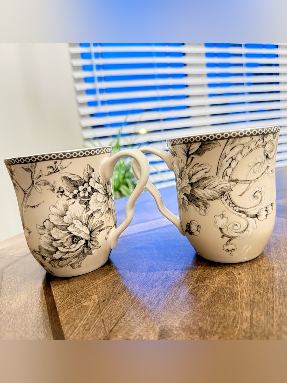 222 Fifth Adelaide Antique White Toile Mugs Set 2 Black White Birds Floral China